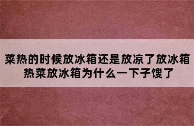 菜热的时候放冰箱还是放凉了放冰箱 热菜放冰箱为什么一下子馊了